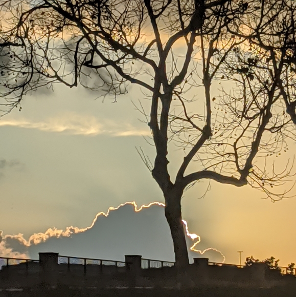 Meet your Posher, Joyce - Picture 1 of 1